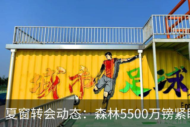 夏窗转会动态：森林5500万镑紧盯赖因德斯，罗马拒绝4队求租瓦斯